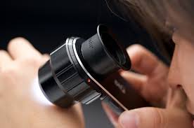 dermatoscopia cancer de pele